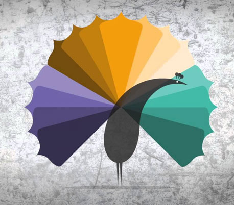 Website Designing Company in Pakistan