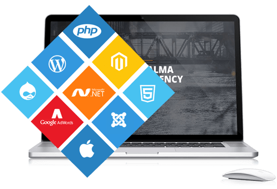 Website Development Company in Pakistan